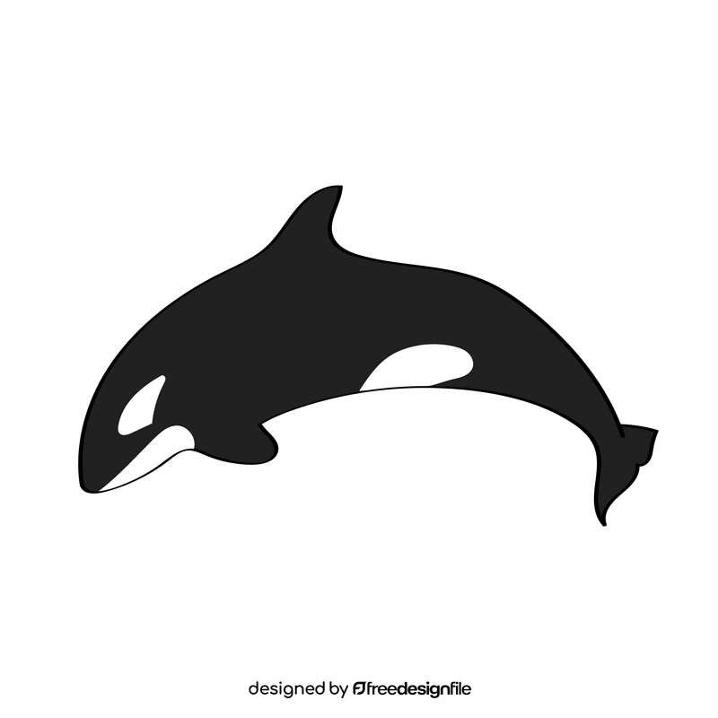 Orca clipart