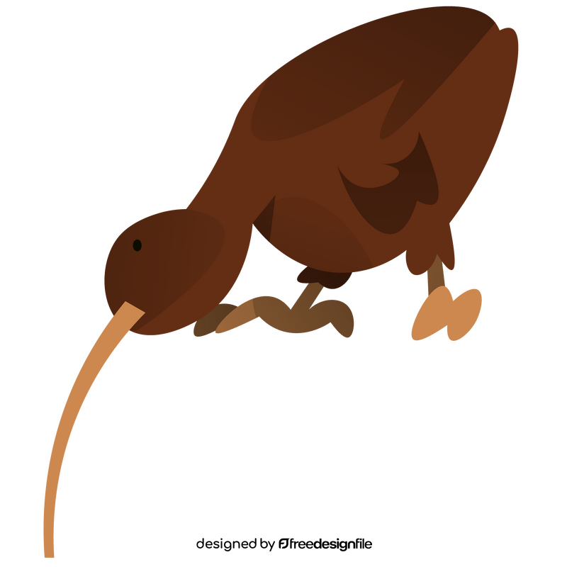 Kiwi bird clipart