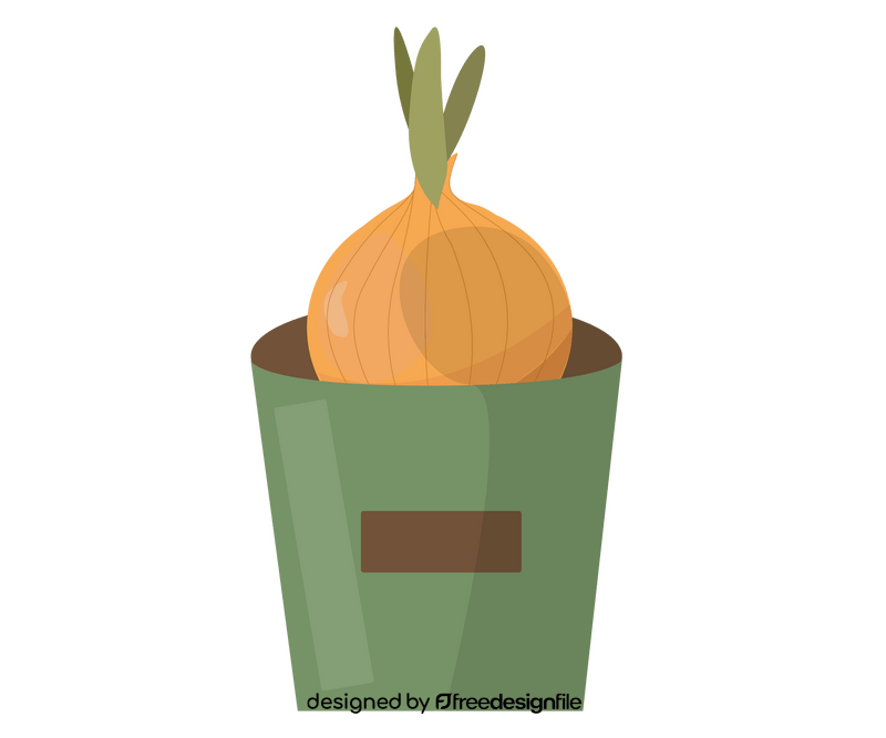 Growing onion clipart