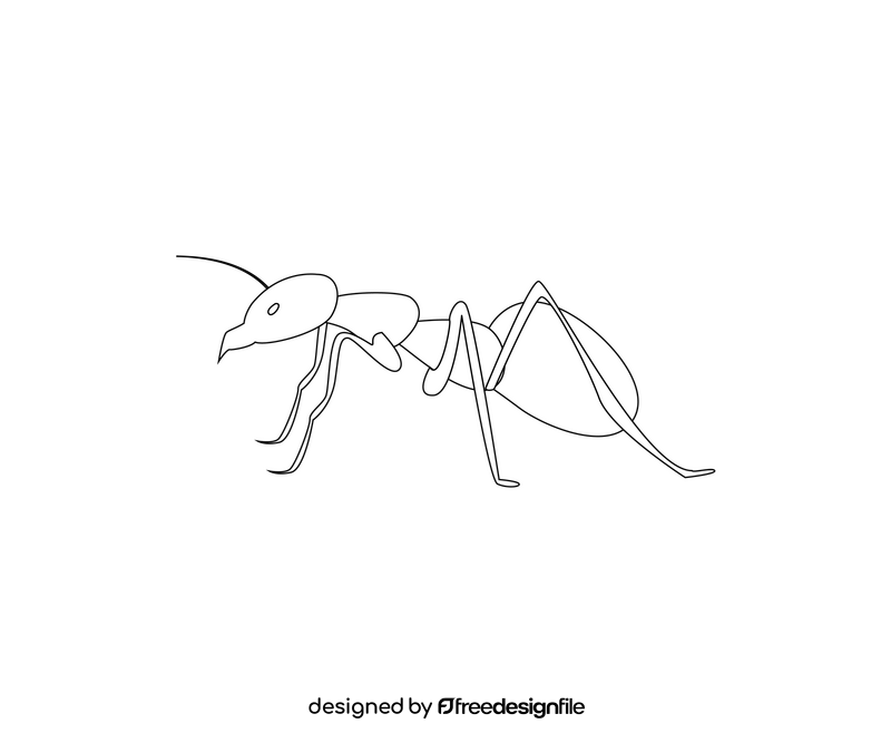 Ant black and white clipart