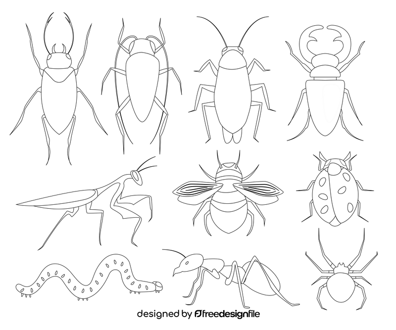 Cartoon insects black and white vector