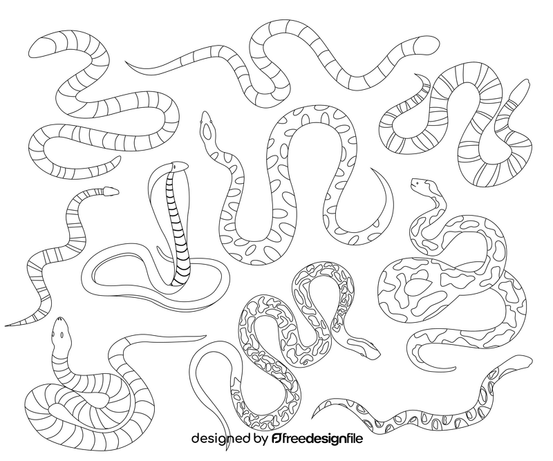 Snakes black and white vector