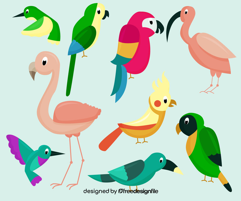 Tropical birds, exotic birds vector