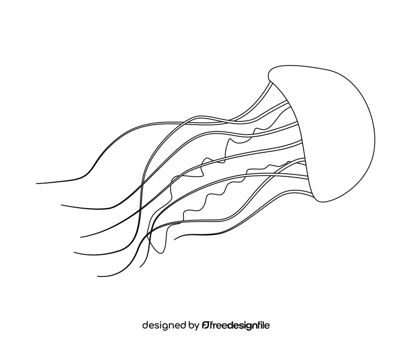 Jellyfish drawing black and white clipart