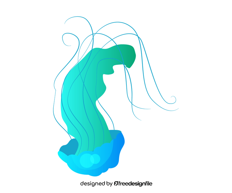 Jellyfish illustration clipart