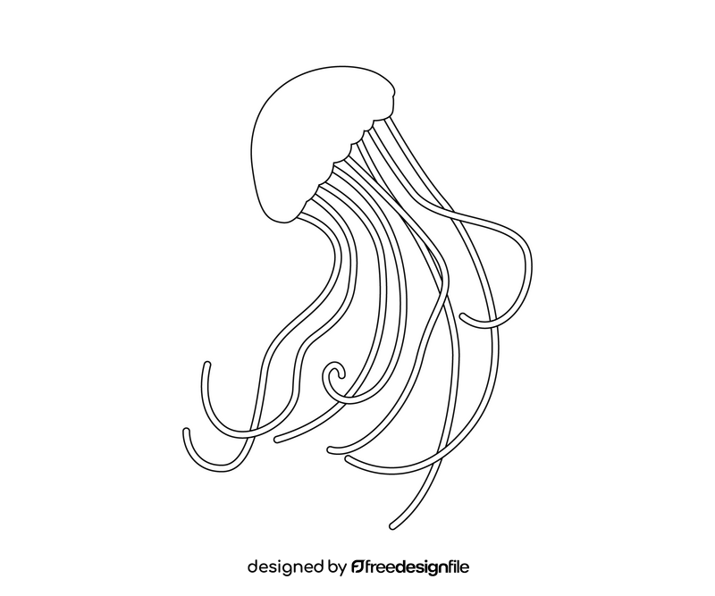 Jellyfish illustration black and white clipart