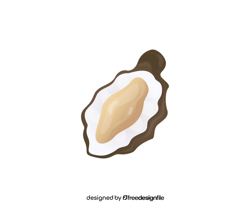 Oysters illustration clipart