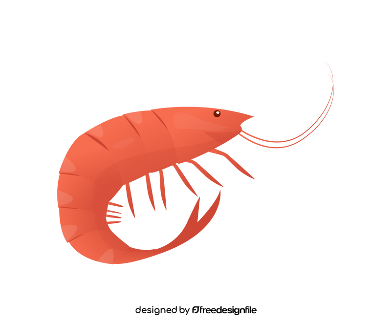 Shrimp cartoon clipart