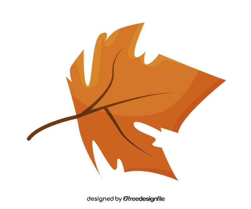Maple leaf illustration clipart