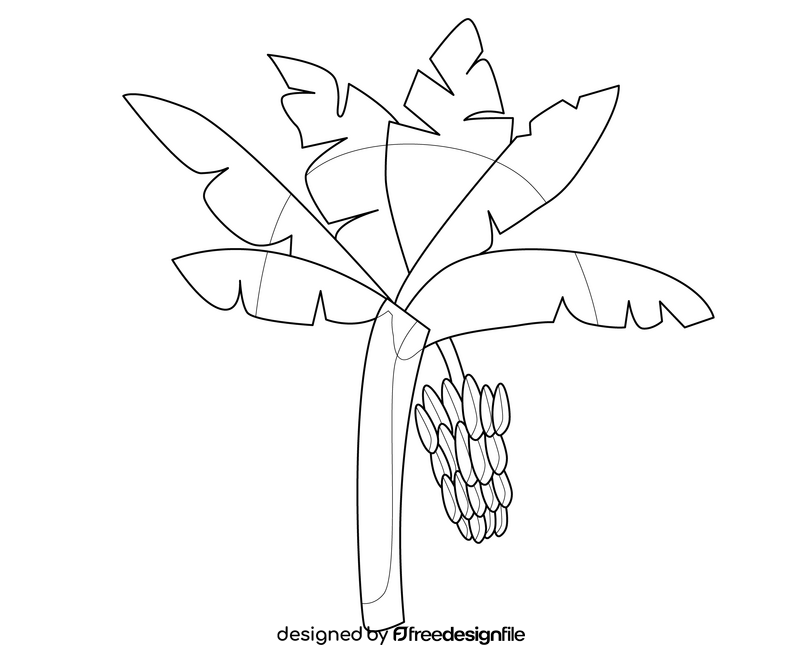 Banana tree illustration black and white clipart