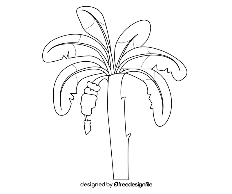Tropical banana tree drawing black and white clipart