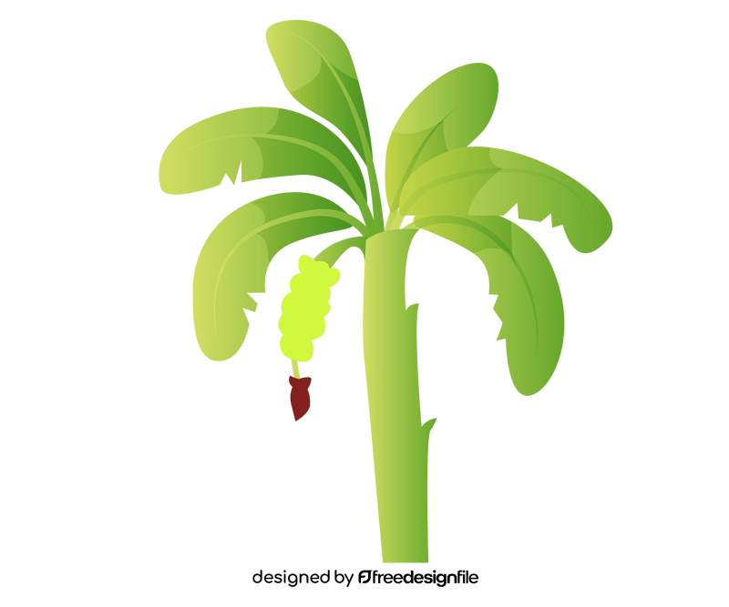 How to Draw Banana Tree Step by Step (Very Easy) - YouTube