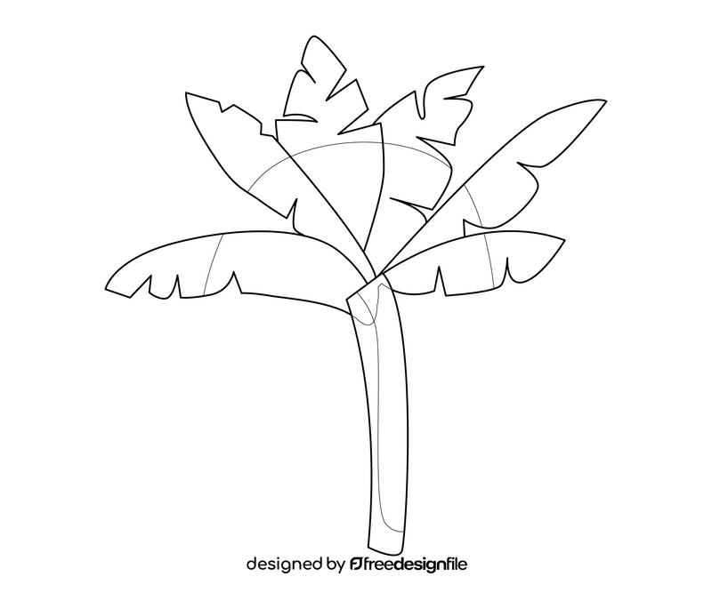 Cartoon palm tree black and white clipart