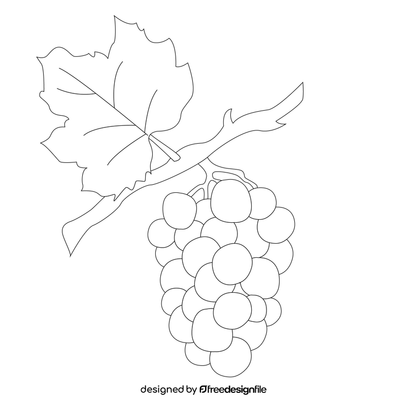 Grapes on a branch black and white clipart