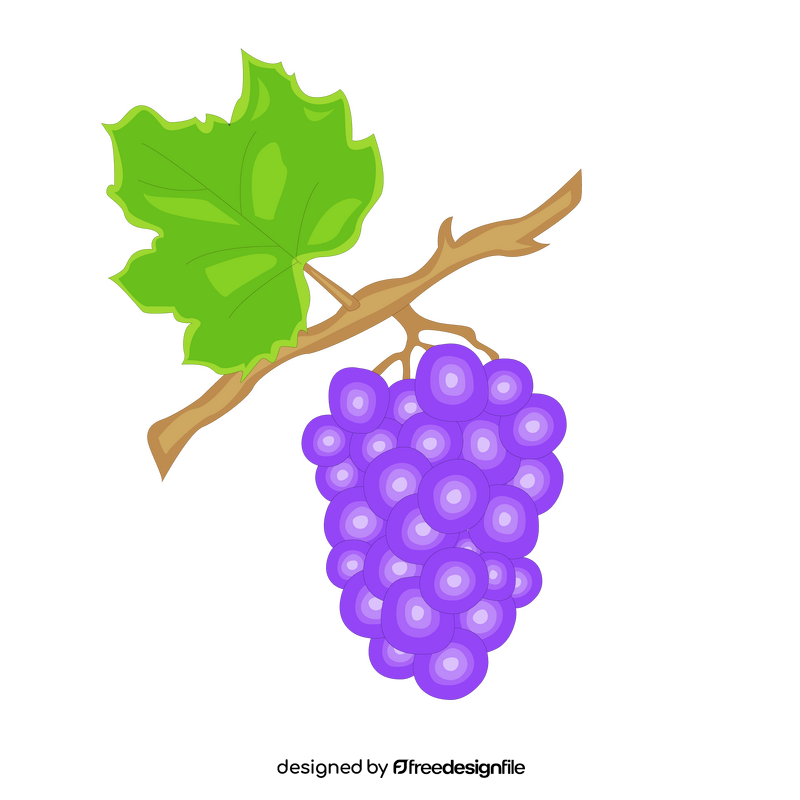 Grapes on a branch clipart