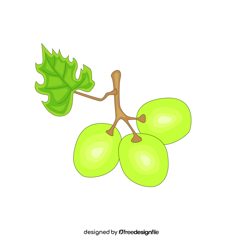Green grapes clipart
