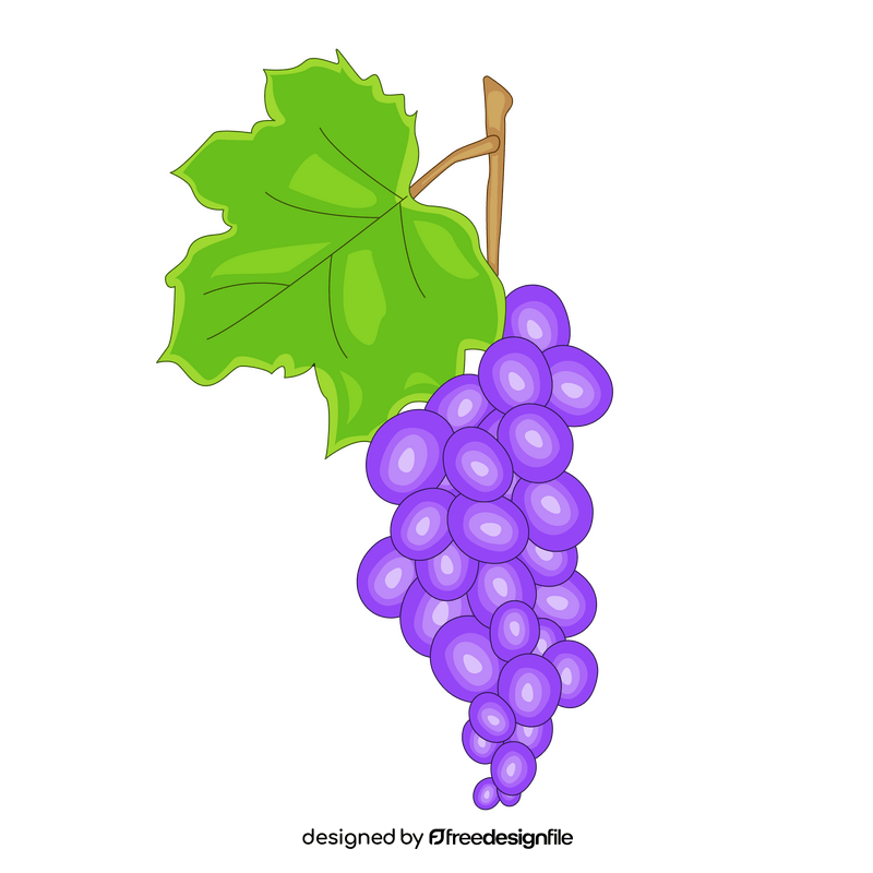Free grape clipart