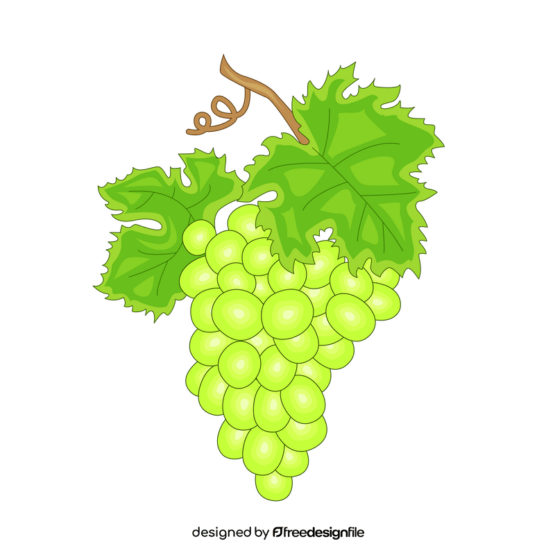 Green grapes drawing clipart vector free download