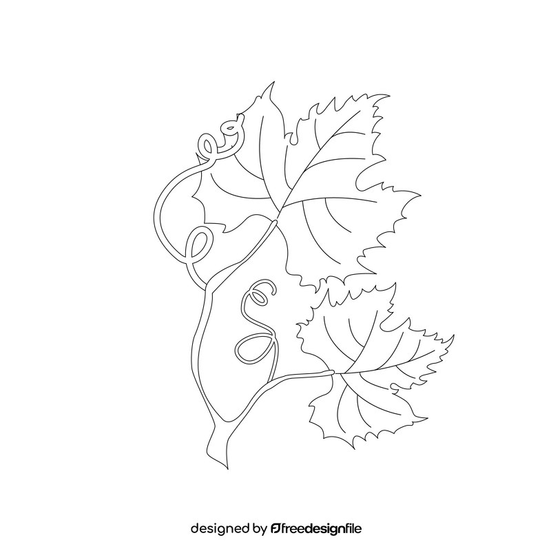 Branch of grape black and white clipart