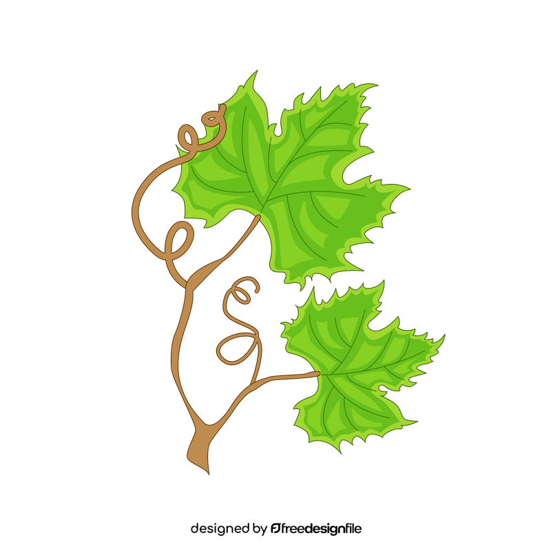 Branch of grape clipart