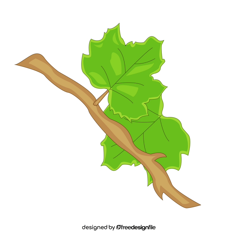Vine branch clipart