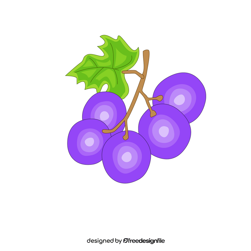 Purple grape illustration clipart