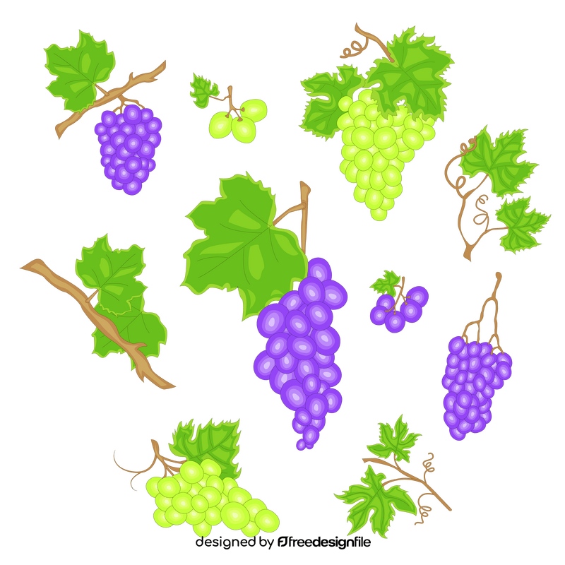 Cartoon grapes vector