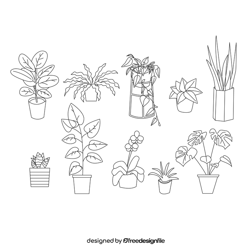 House plant black and white vector