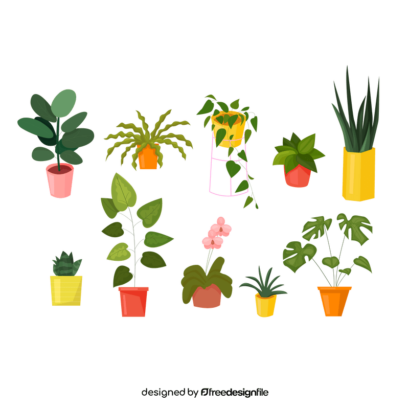 House plant vector