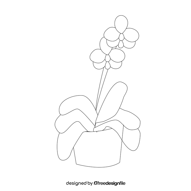 Flower plant in basket illustration black and white clipart free download