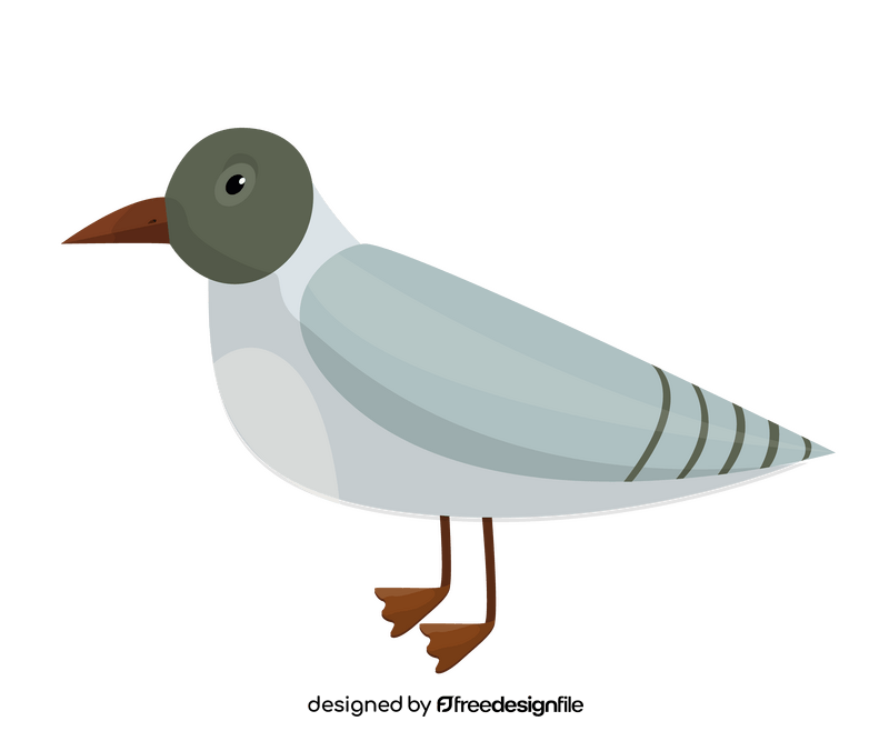 Cartoon dove bird clipart