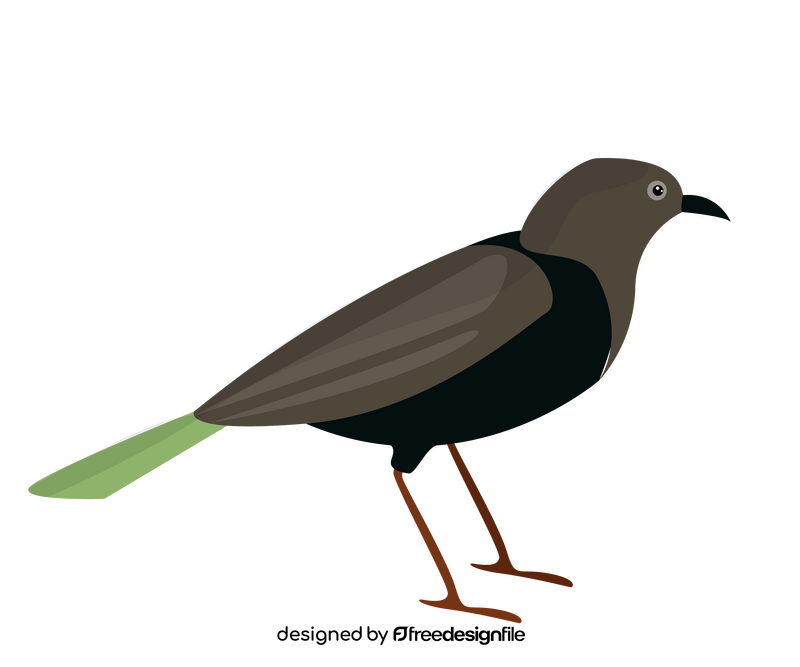 Cartoon crow bird clipart