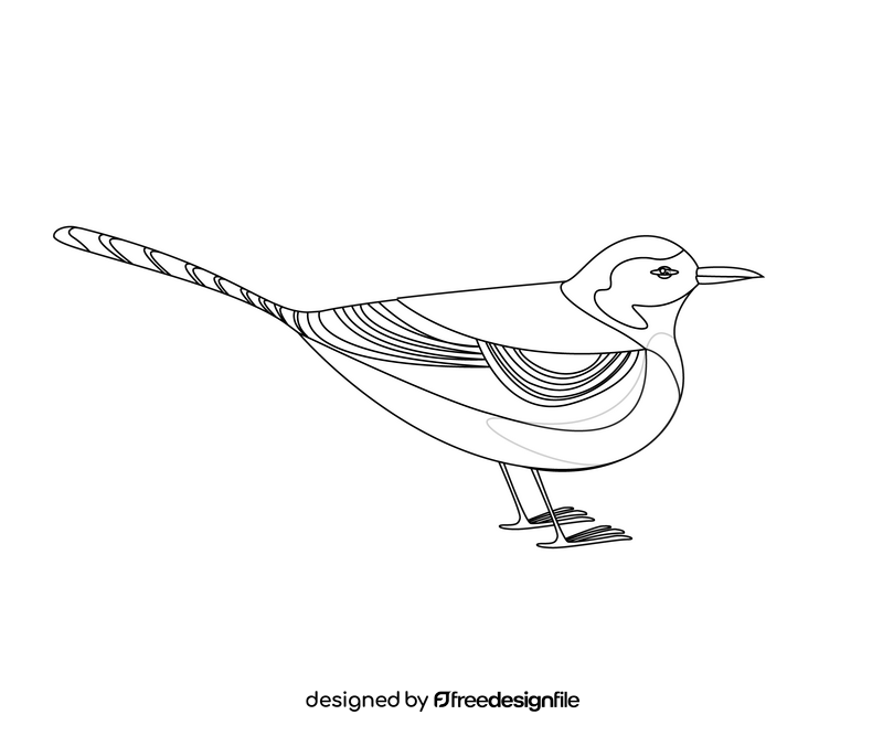Gull bird illustration black and white clipart