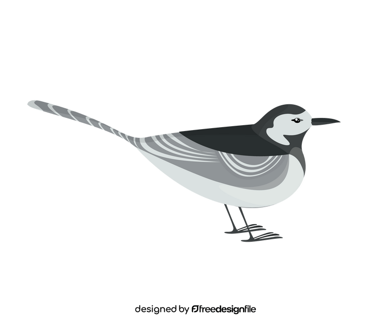 Gull bird illustration clipart
