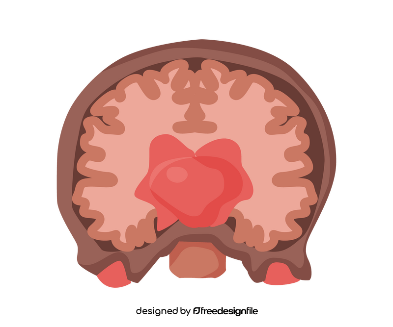 Brain inside clipart