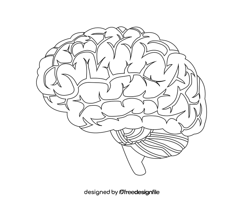 Brain black and white clipart free download