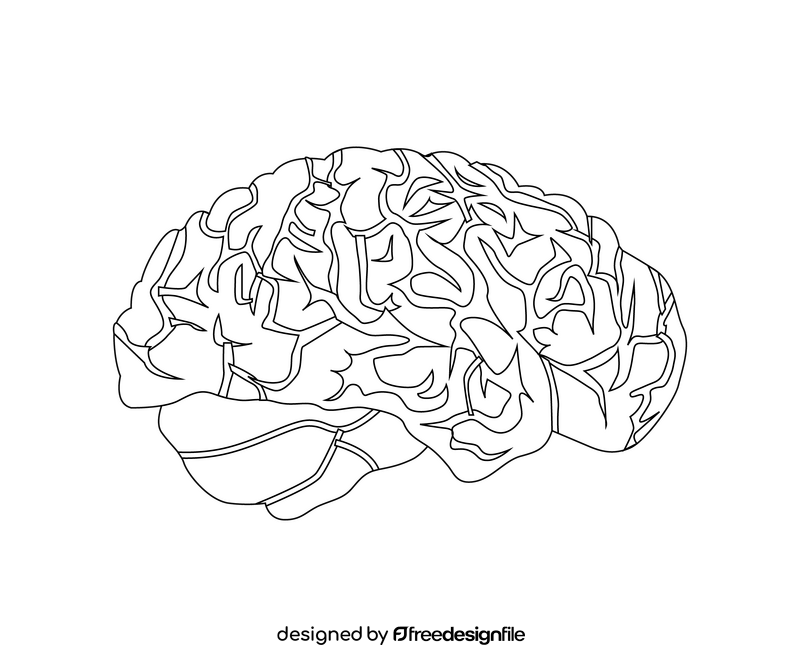 Brain illustration black and white clipart