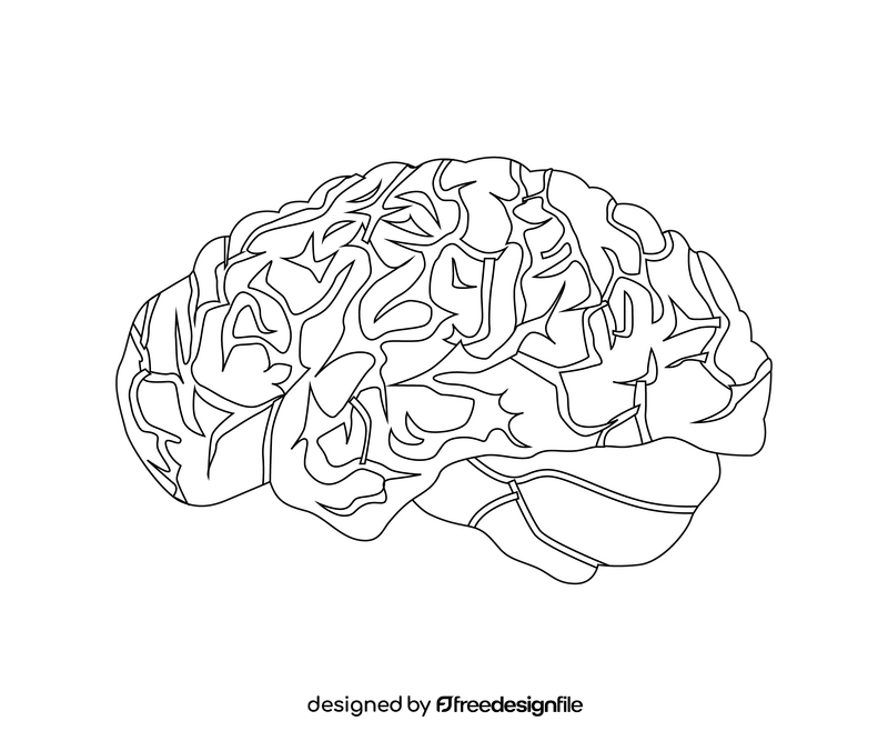 Brain drawing black and white clipart