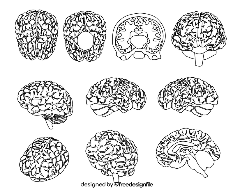 Cartoon brains black and white vector