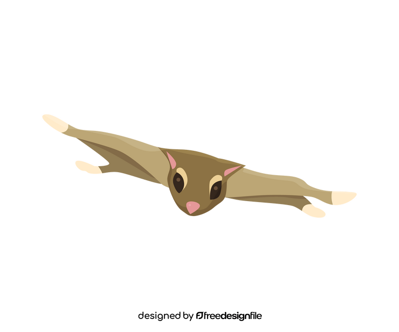 Cute flying squirrel clipart