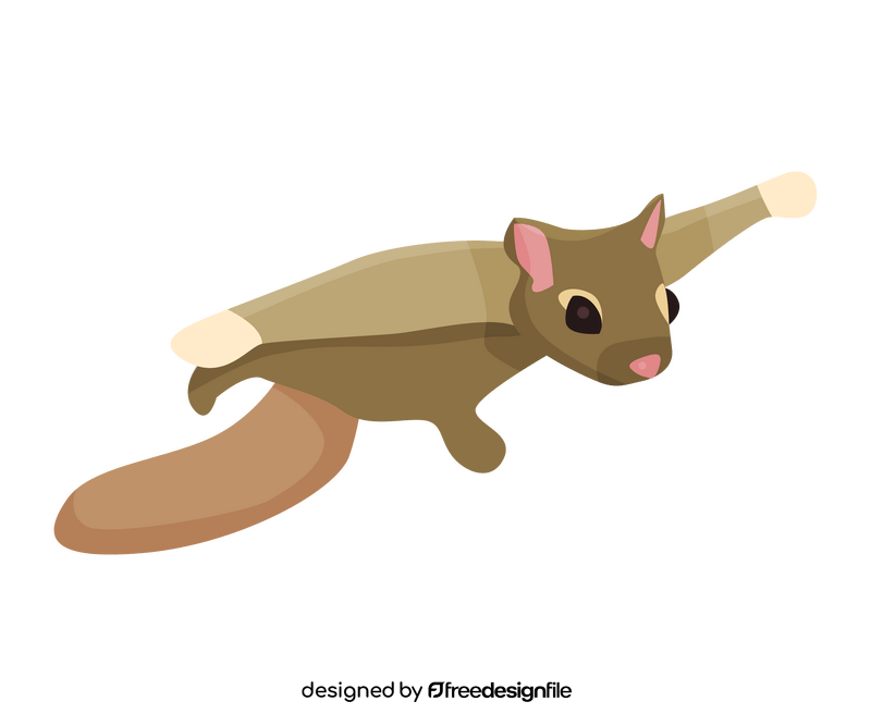 Flying squirrel drawing clipart