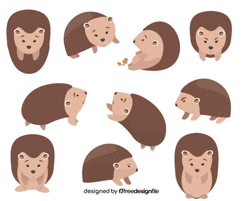Hedgehogs vector