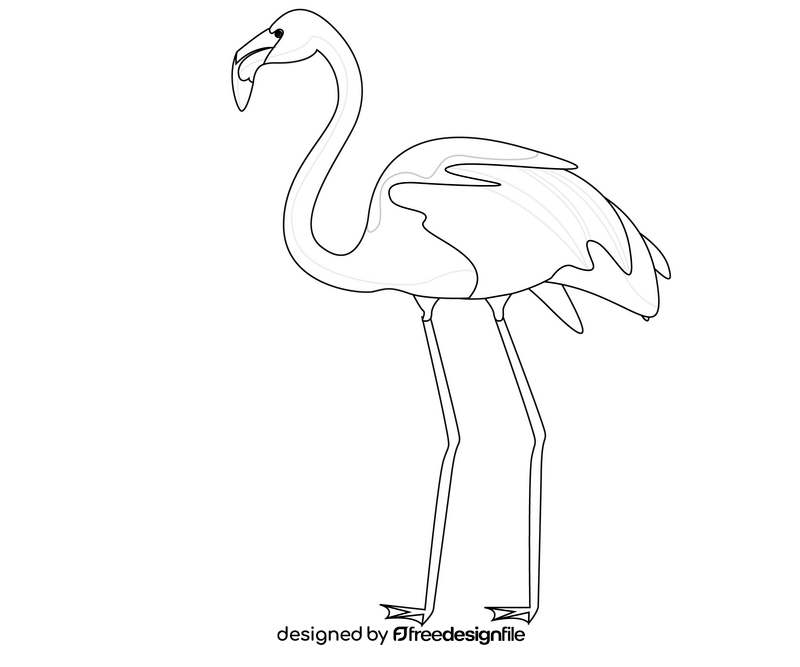 Flamingo cartoon black and white clipart