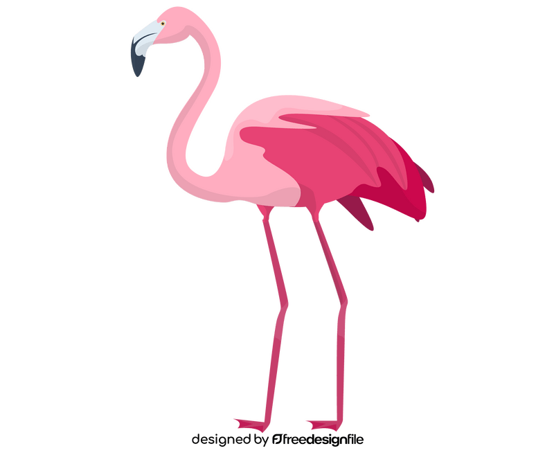 Flamingo cartoon clipart