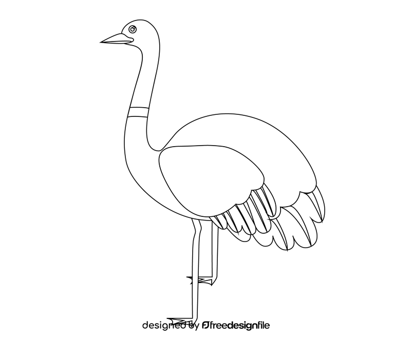 Ostrich illustration black and white clipart