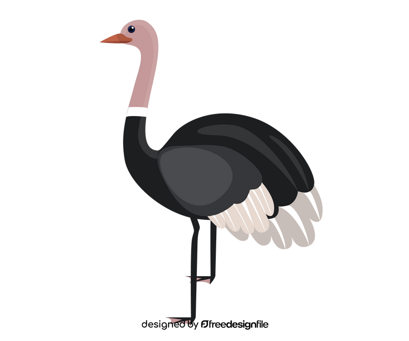 Ostrich illustration clipart