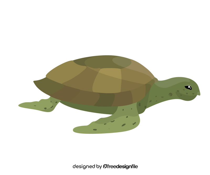 Cartoon turtle clipart