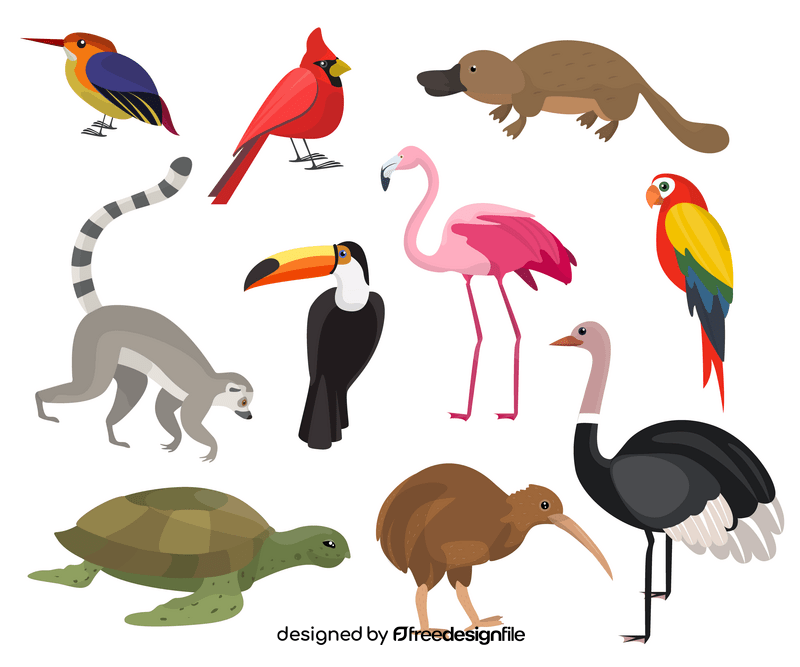 Jungle animals vector
