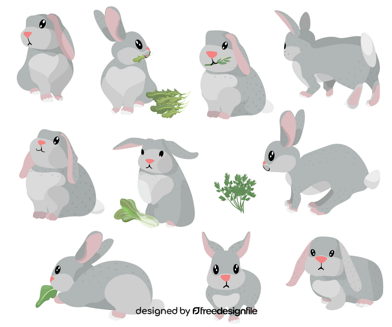 Bunnies, baby rabbits vector