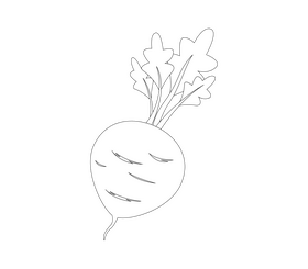 Fresh beet black and white clipart
